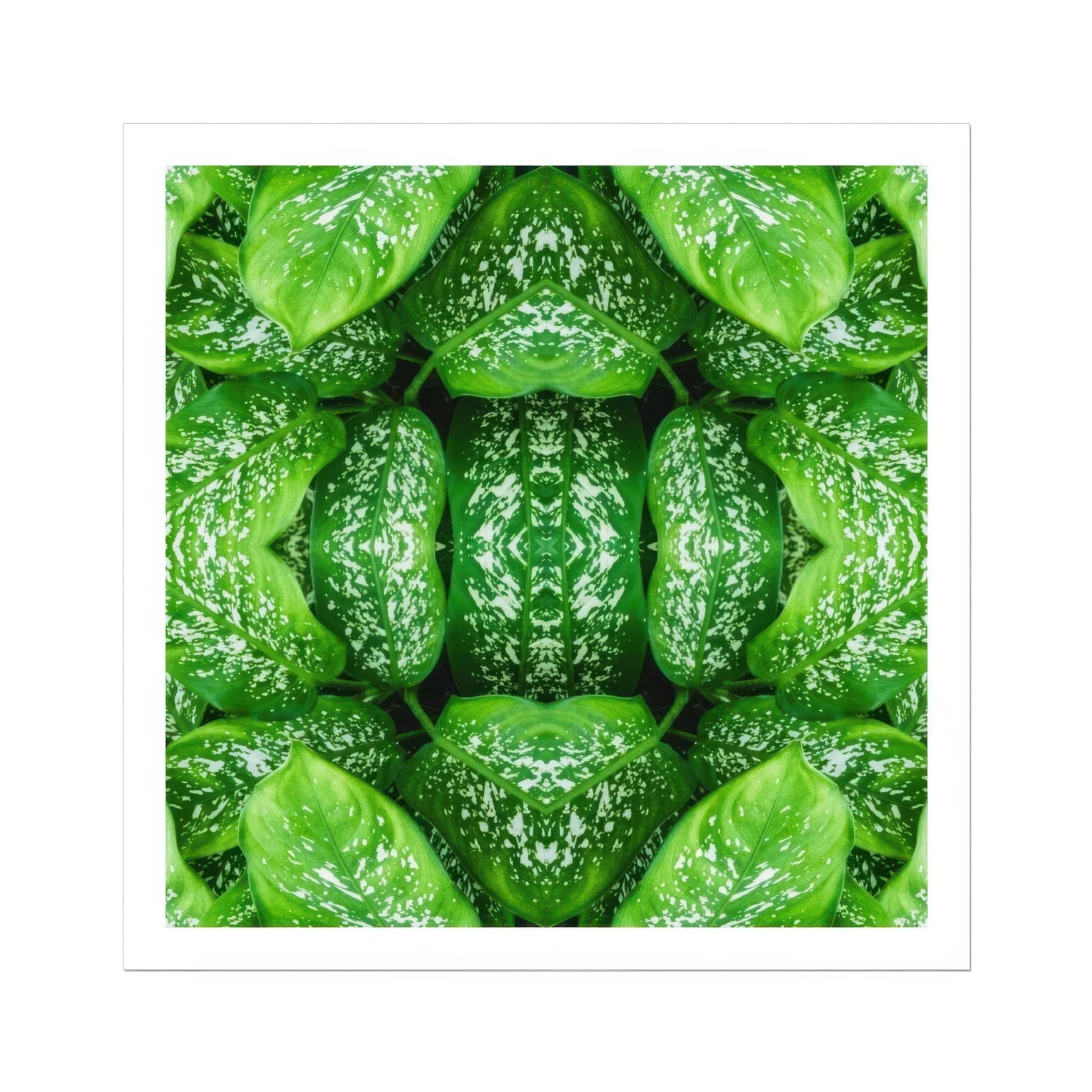 Pitter Splatter Tropical Leaf Op Art Print, Kaleidoscopic Pattern Created Repeated Wet Lettuce Leaves