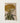Rectangular Art Print Stylized Golden-yellow Flower Detailed Petals Flowering Stem, Polygonaceae, Mid-boast, Natural History, Wall