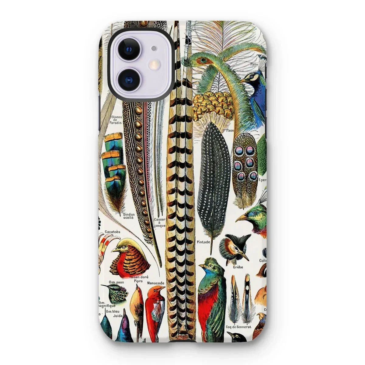 Plumes and Feathers - Adolphe Millot Art Iphone Case, 11 / Matte, Decorative Iphone Case Colorful Bird Feathers Illustrations Species