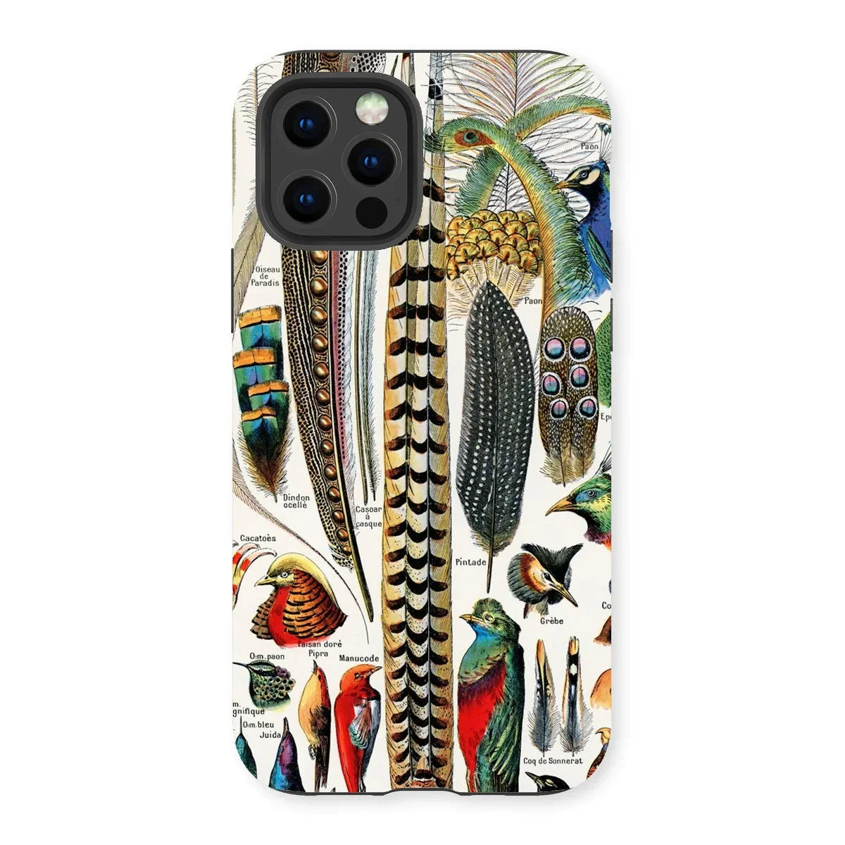 Plumes and Feathers - Adolphe Millot Art Iphone Case, 13 Pro / Matte, Kite-713300862, Decorative Phone Case Colorful Bird Feathers