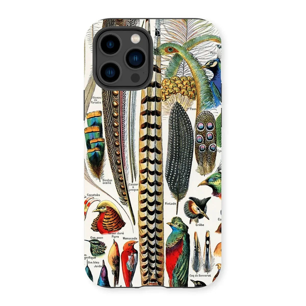 Plumes and Feathers - Adolphe Millot Art Iphone Case, 14 Pro / Matte, Kite-713300852, Decorative Phone Case Colorful Bird Feathers