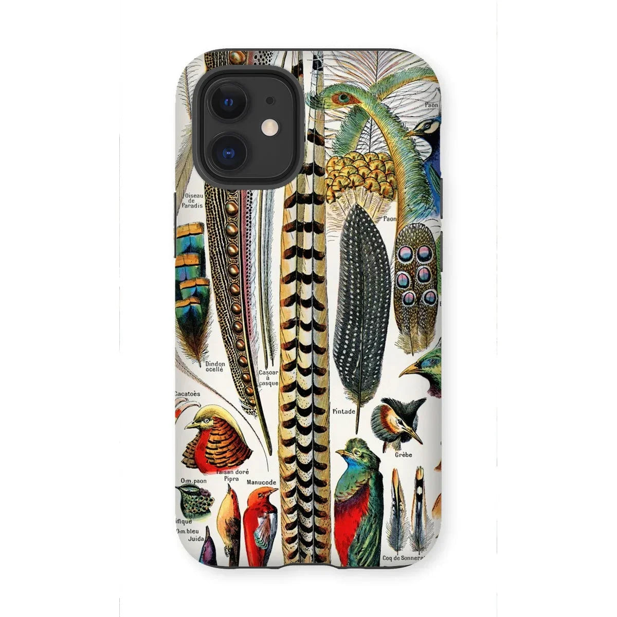 Plumes and Feathers - Adolphe Millot Art Iphone Case, 12 Mini / Matte, Kite-713300886, Phone Case Colorful Vintage Illustration Bird