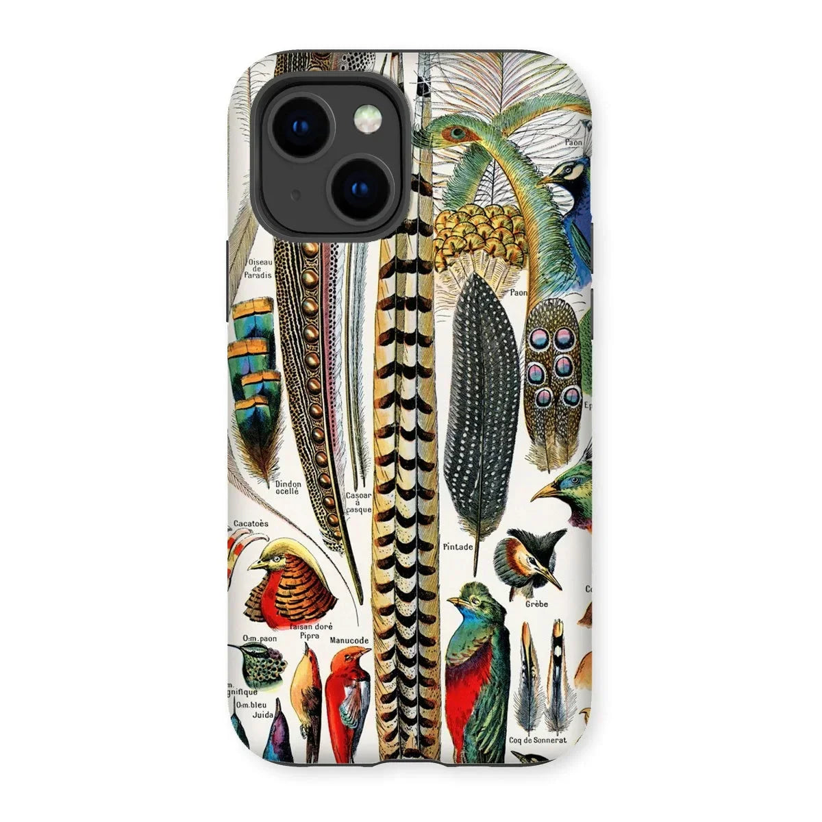 Plumes and Feathers - Adolphe Millot Art Iphone Case, 14 / Matte, Kite-713300850, Phone Case Colorful Vintage Illustration Bird Feathers