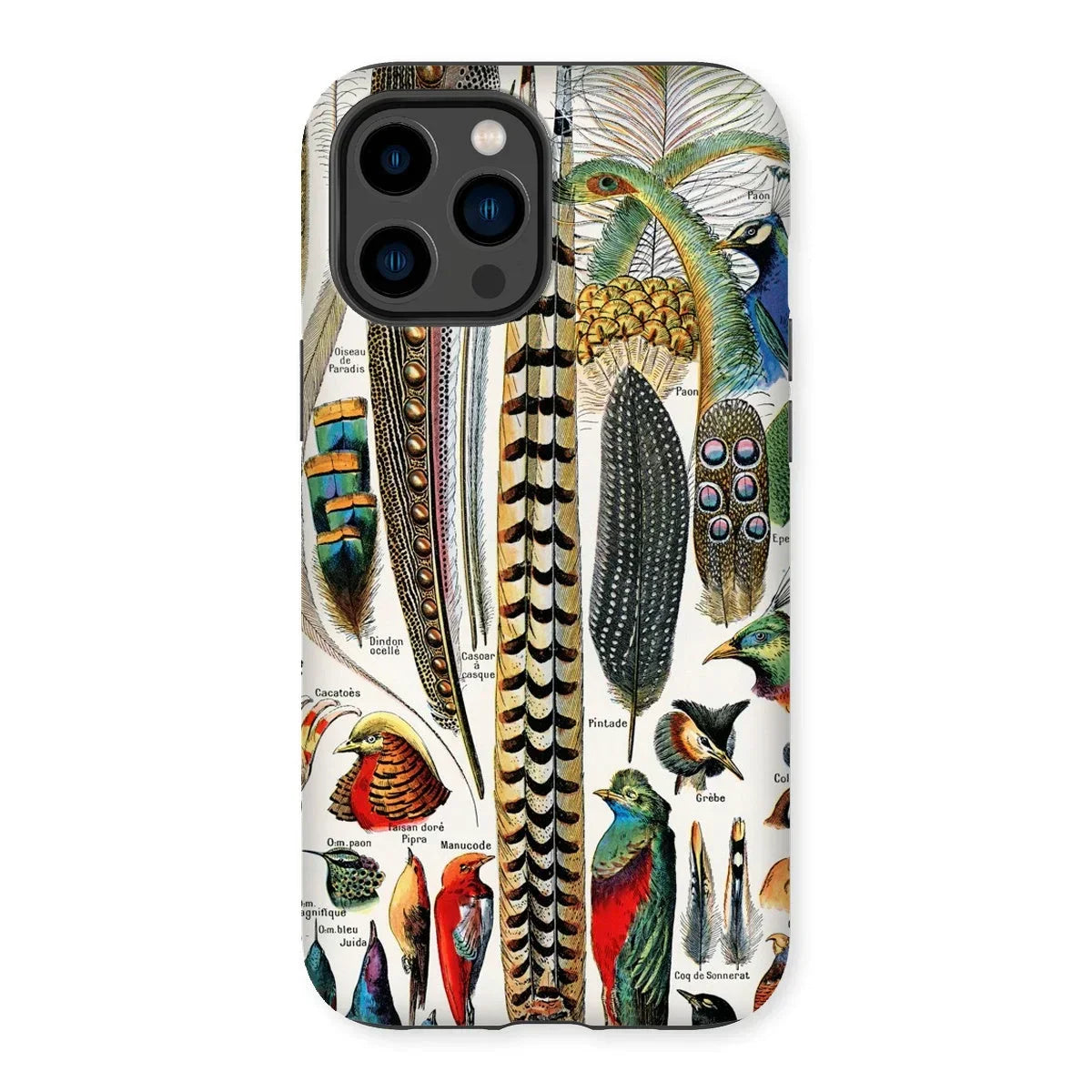 Plumes and Feathers - Adolphe Millot Art Iphone Case, 14 Pro Max / Matte, Kite-713300856, Smartphone Case Colorful Bird