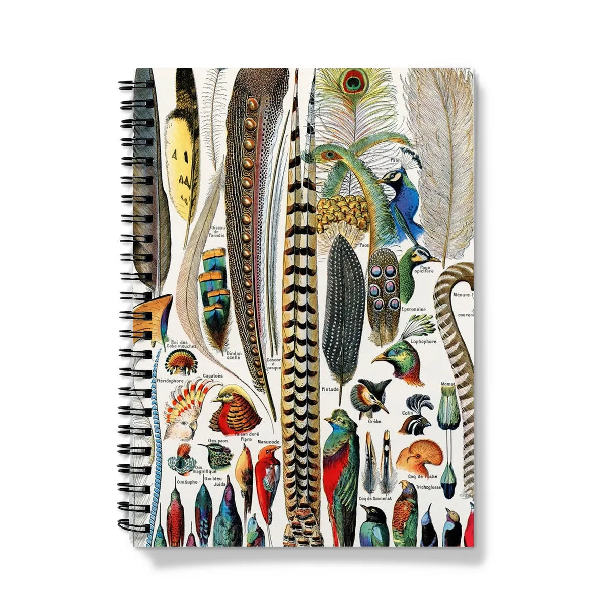 Plumes - Feathers By Adolphe Millot Notebook - A5 / Graph - Notebooks & Notepads - Aesthetic Art
