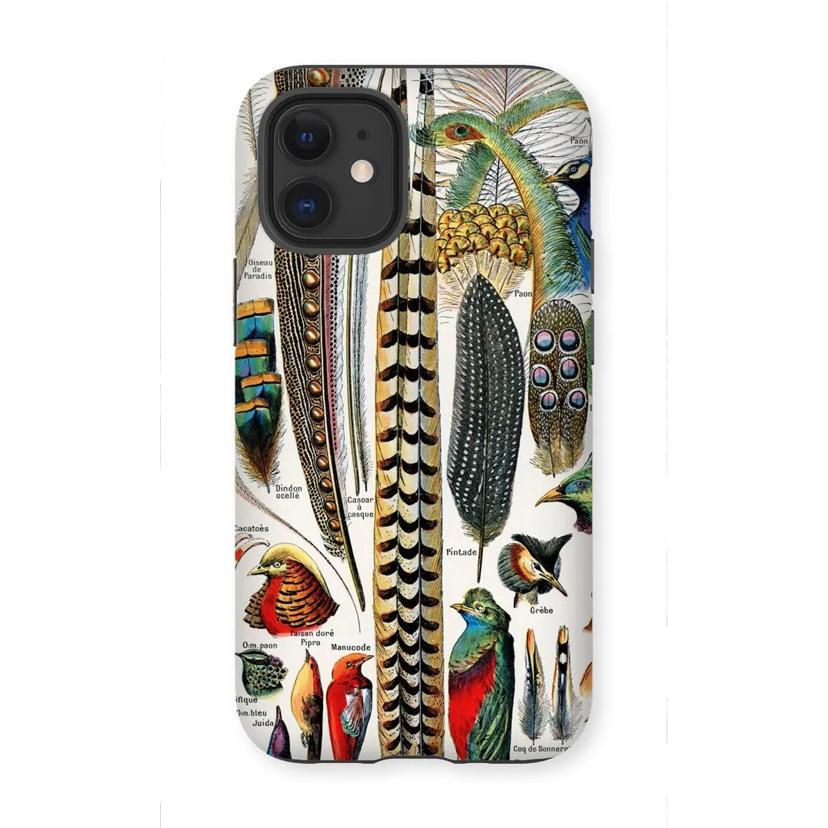 Plumes - Feathers - Adolphe Millot Tough Phone Case - Iphone 12 Mini / Matte - Mobile Phone Cases - Aesthetic Art