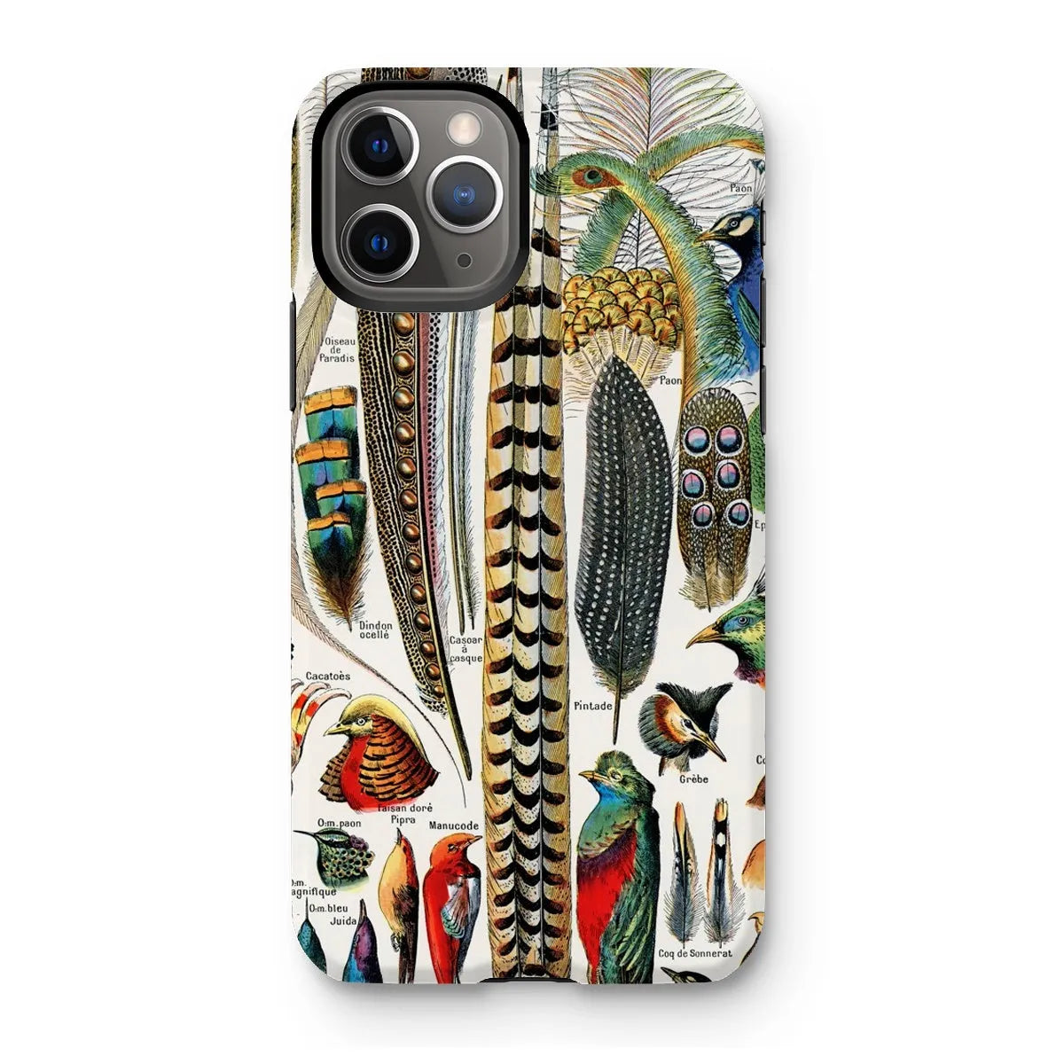 Plumes - Feathers - Adolphe Millot Tough Phone Case - Iphone 11 Pro / Matte - Mobile Phone Cases - Aesthetic Art