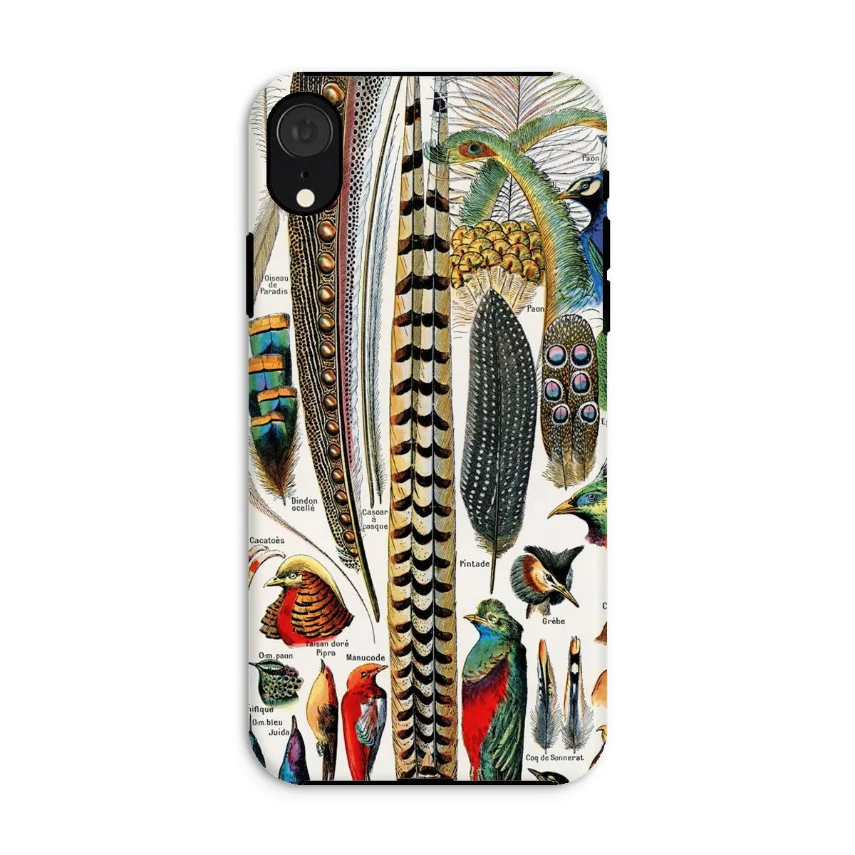 Plumes - Feathers - Adolphe Millot Tough Phone Case - Iphone Xr / Matte - Mobile Phone Cases - Aesthetic Art