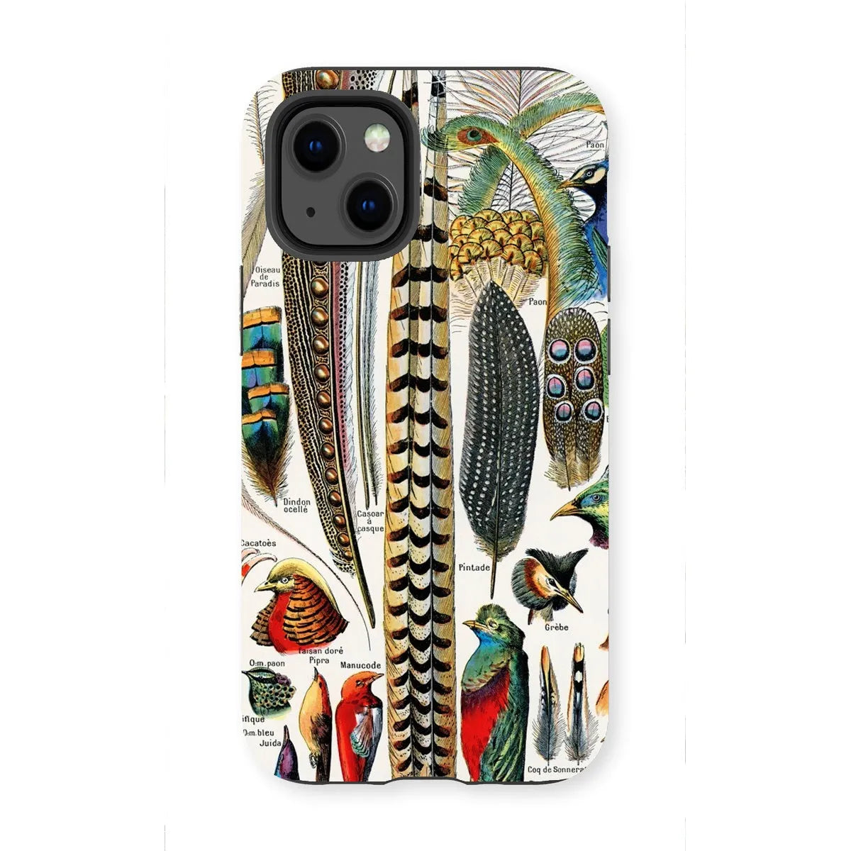 Plumes - Feathers By Adolphe Millot Tough Phone Case - Iphone 13 Mini / Matte - Aesthetic Art