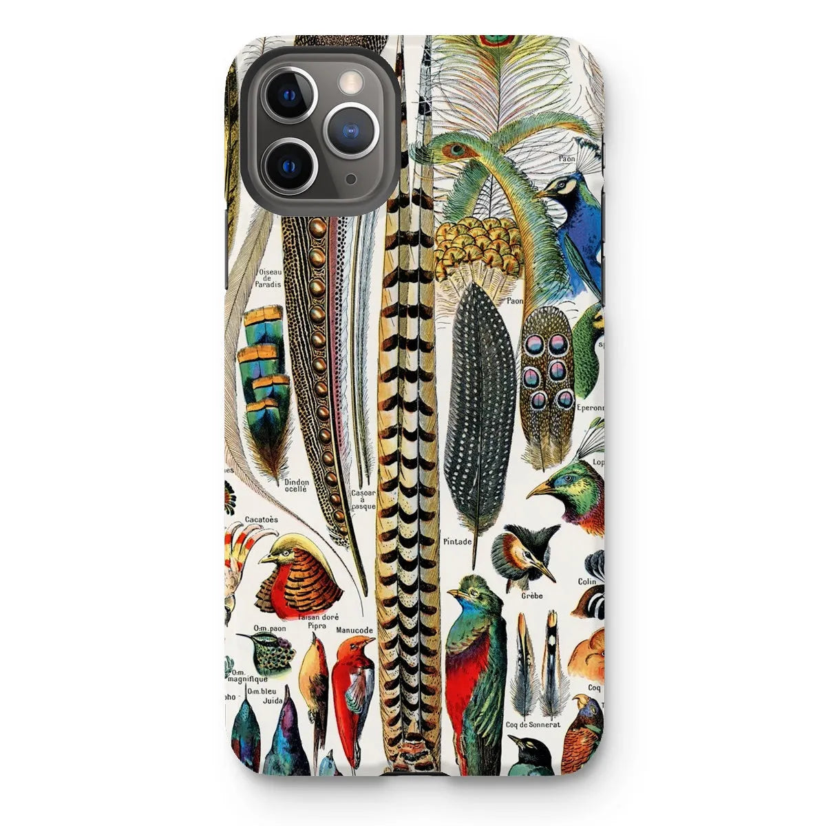 Plumes - Feathers By Adolphe Millot Tough Phone Case - Iphone 11 Pro Max / Matte - Aesthetic Art