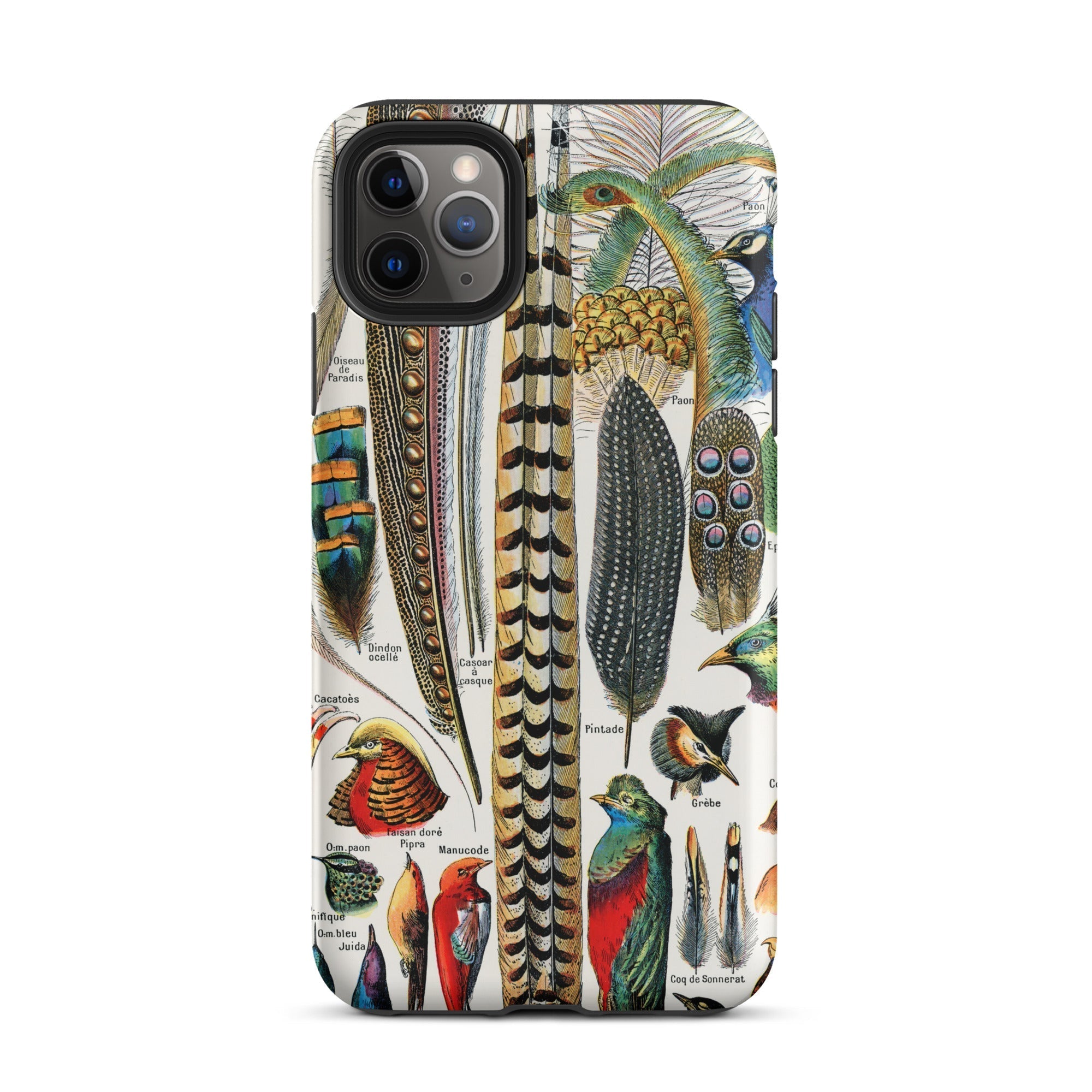 Plumes and Feathers Adolphe Philippe Millot Iphone Case, 11 Pro Max / Matte, Feather Patterned Phone Case