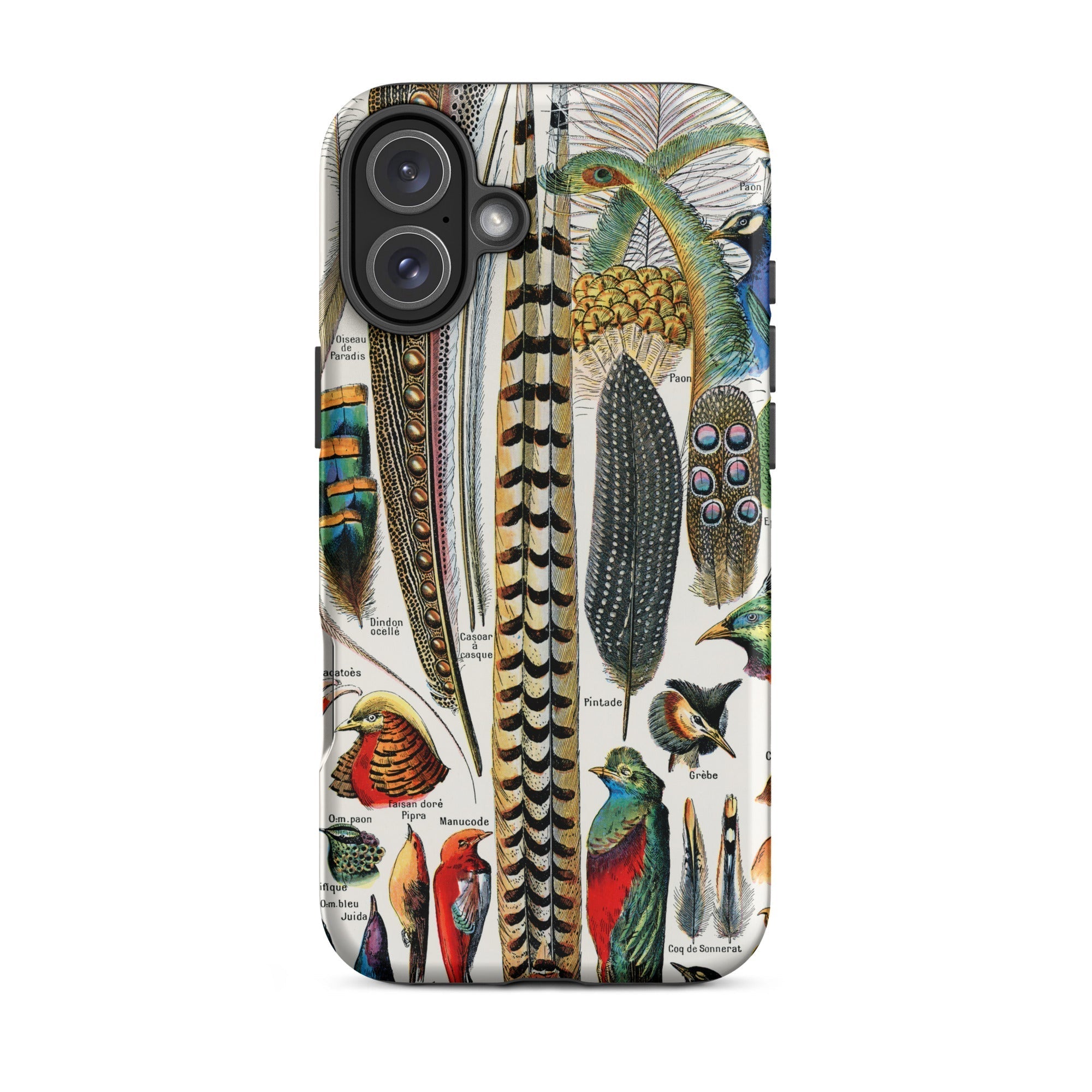 Plumes and Feathers Adolphe Philippe Millot Iphone Case, 16 Plus / Matte, Bird Feather Patterned Phone Case