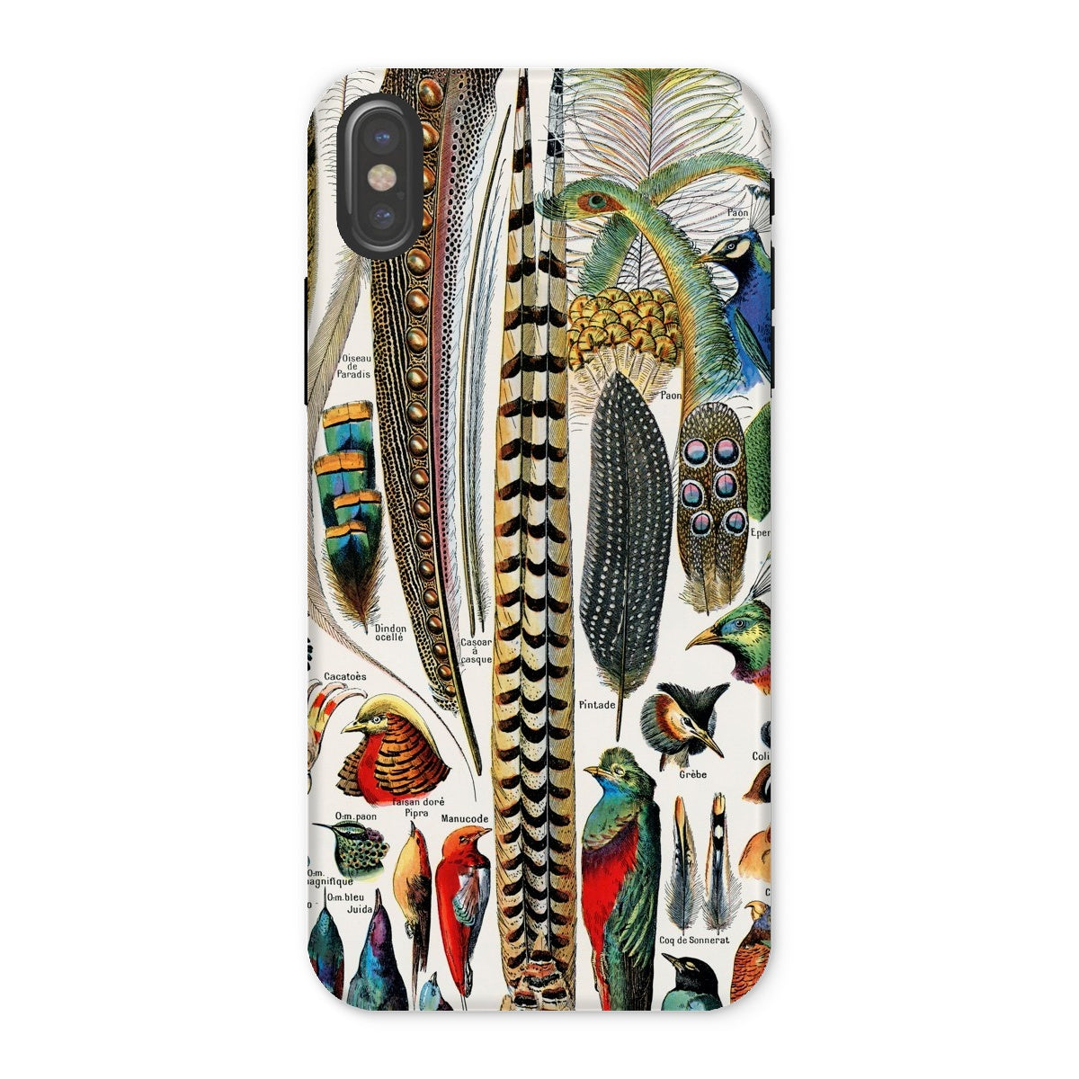 Plumes and Feathers Adolphe Philippe Millot Iphone Case, x / Matte, Phone Case Colorful Collage Bird Feathers Illustrations