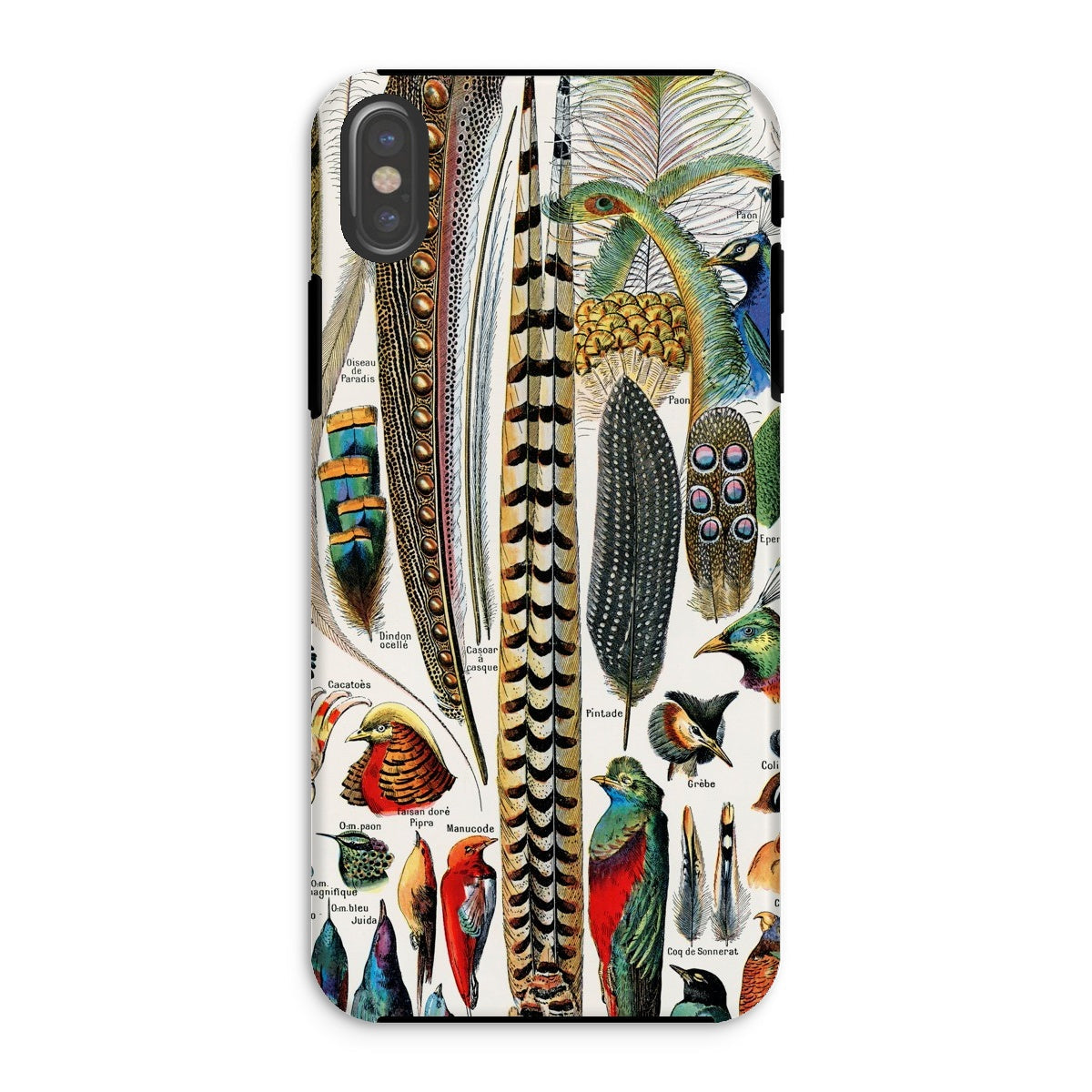 Plumes and Feathers Adolphe Philippe Millot Iphone Case, Xs / Matte, Decorative Phone Case Colorful Illustrations Bird Feathers Species
