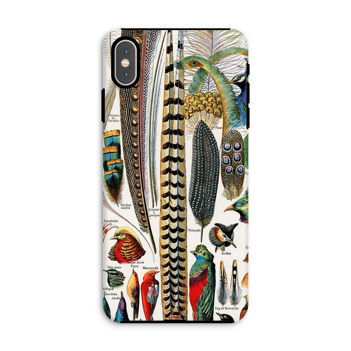 Plumes and Feathers Adolphe Philippe Millot Iphone Case, Xs Max / Matte, Phone Case Colorful Collage Bird Feathers Illustrations