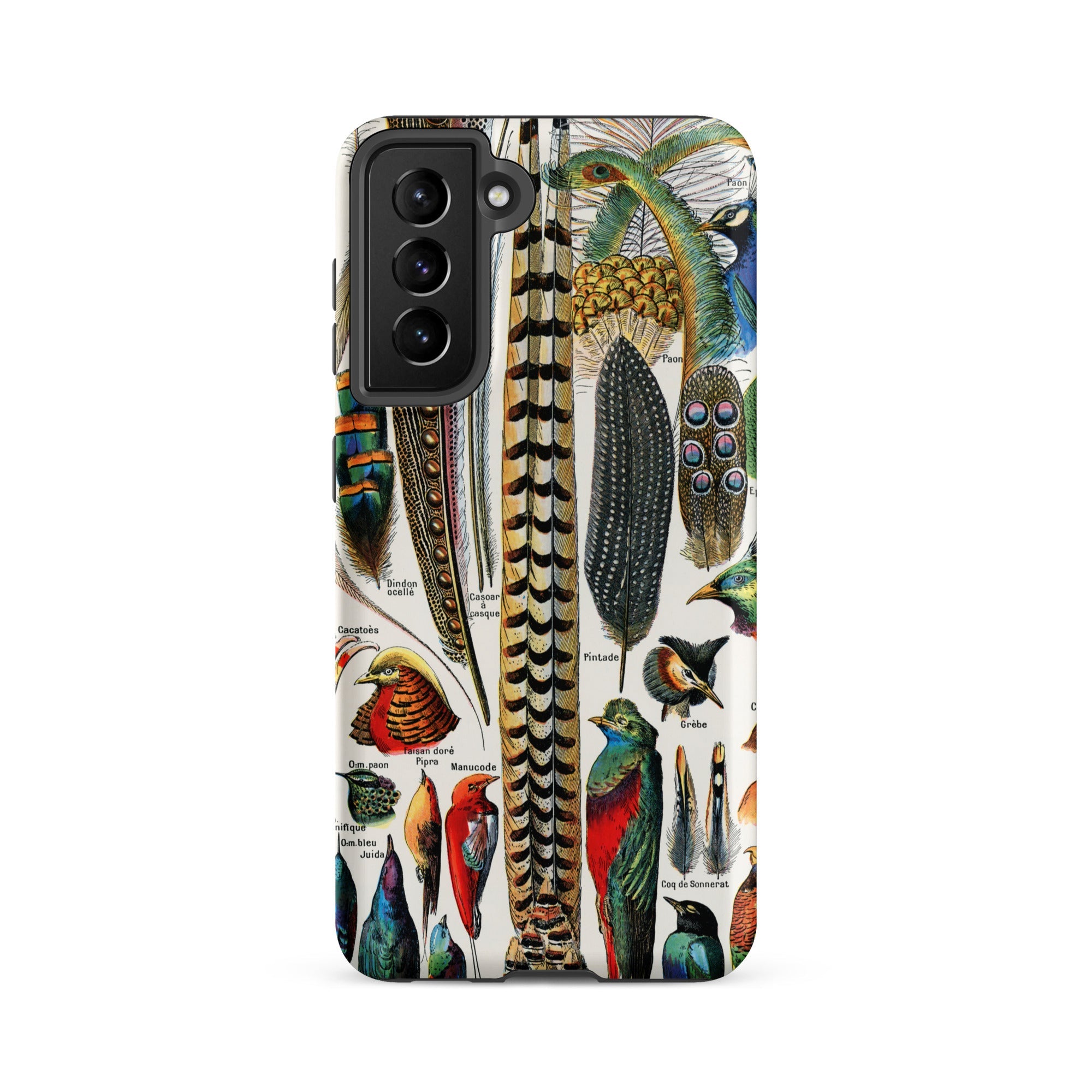 Plumes and Feathers Adolphe Philippe Millot Samsung Case, Galaxy S21 Fe / Matte, Smartphone Case Colorful Vintage Illustration Bird