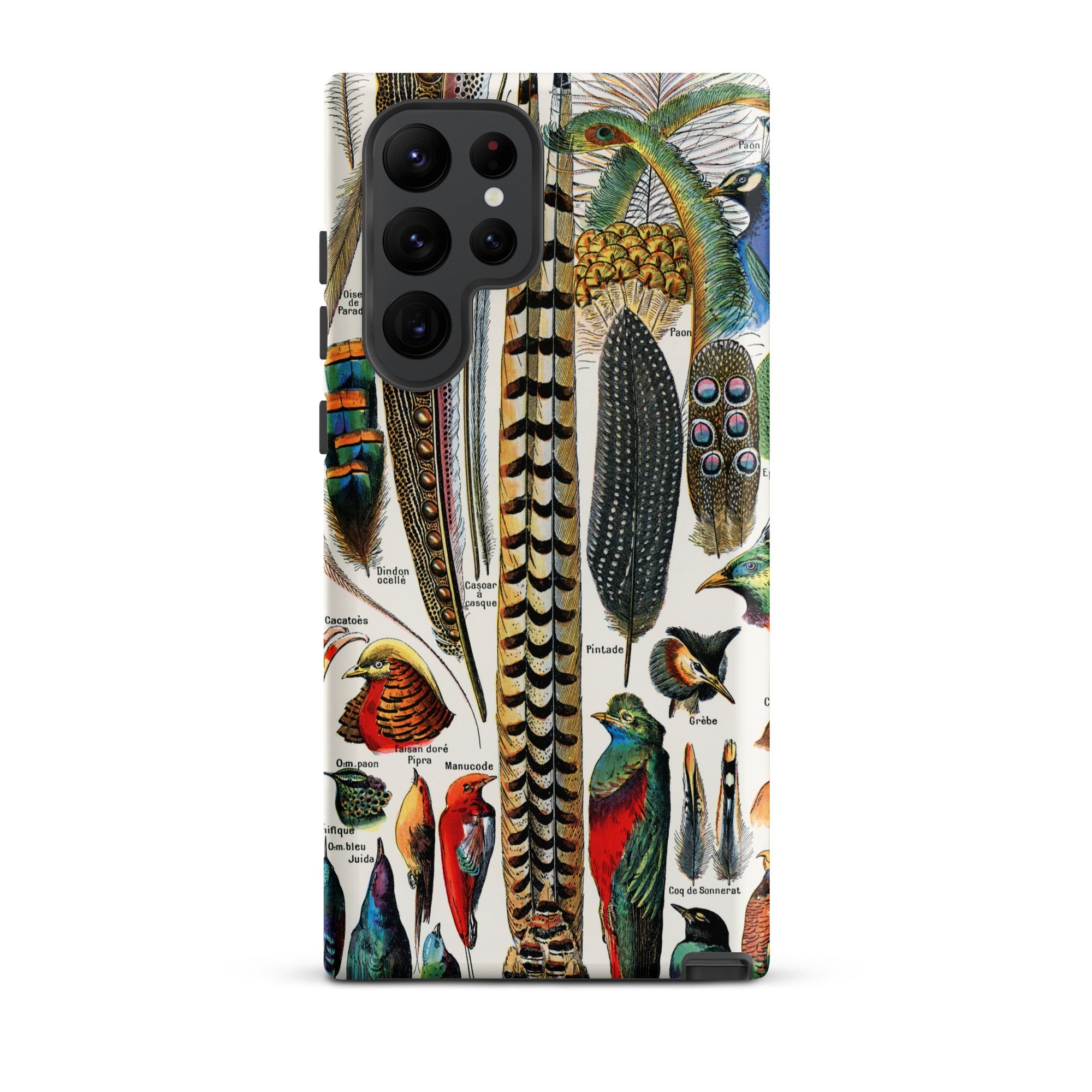 Plumes and Feathers Adolphe Philippe Millot Samsung Case, Galaxy S22 Ultra / Matte, Phone Case Vintage Illustration Bird Feathers Heads