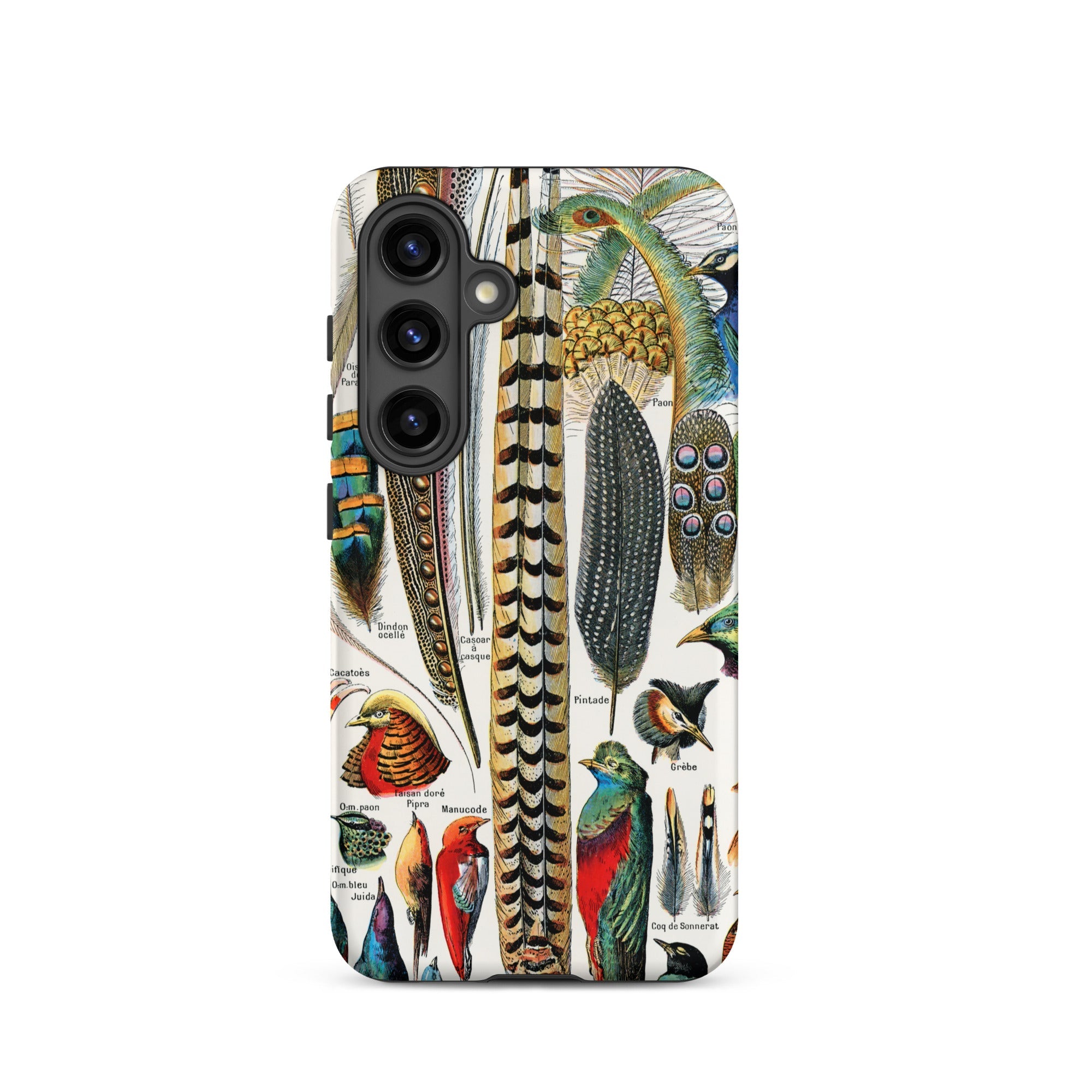 Plumes and Feathers Adolphe Philippe Millot Samsung Case, Galaxy S24 / Matte, Smartphone Case Colorful Detailed Illustration Bird Feathers