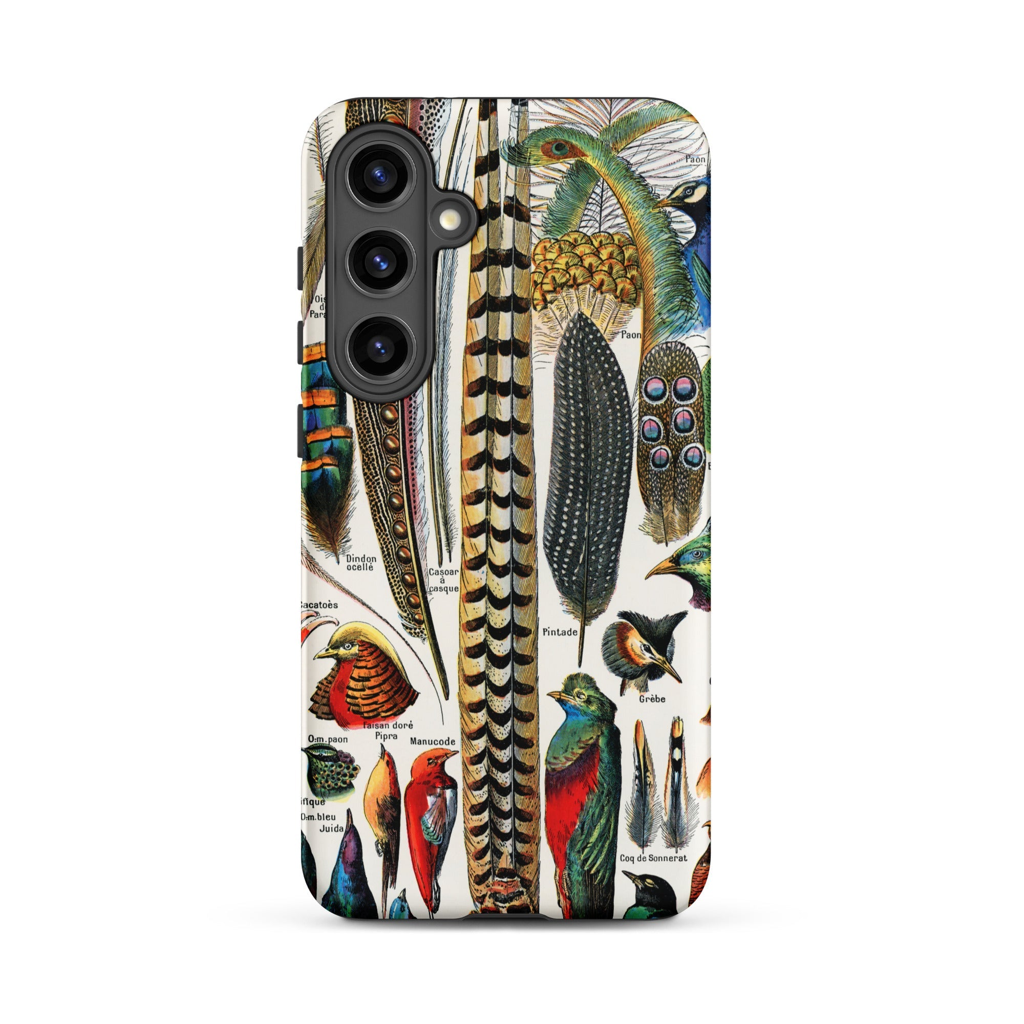 Plumes and Feathers Adolphe Philippe Millot Samsung Case, Galaxy S24 Plus / Matte, White Phone Case Colorful Vintage Bird Feather Pattern