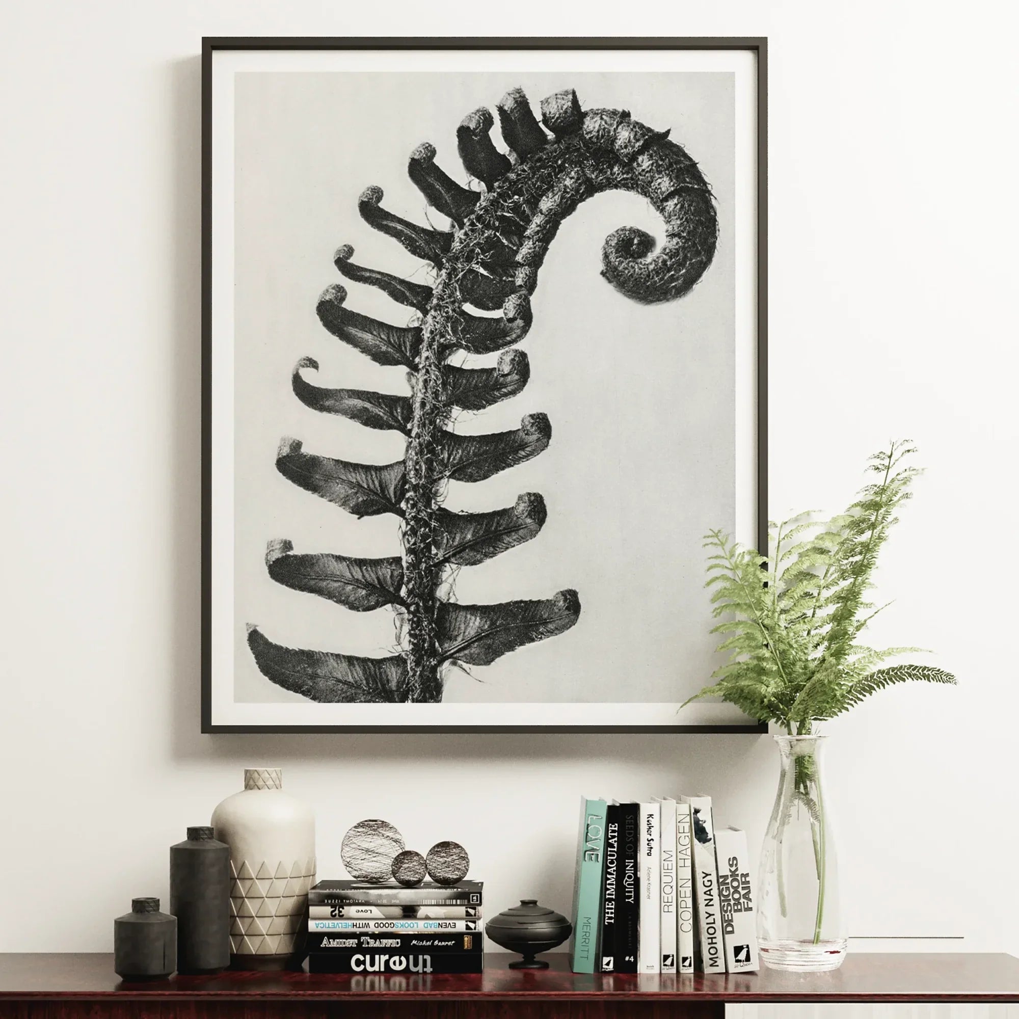 Polystichum Munitum (prickly Shield–fern) - Karl Blossfeldt Art Print Posters Prints & Visual Artwork