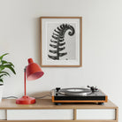 Polystichum Munitum (prickly Shield–fern) - Karl Blossfeldt Art Print, Record Player Red Desk Lamp Framed Fern Artwork