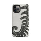 Polystichum Munitum (prickly Shield–fern) Karl Blossfeldt Iphone Case, 11 Pro / Matte, Fern Patterned Phone Case