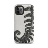 Polystichum Munitum (prickly Shield–fern) - Karl Blossfeldt Iphone Case, 11 Pro / Matte, Fern-patterned Phone Case