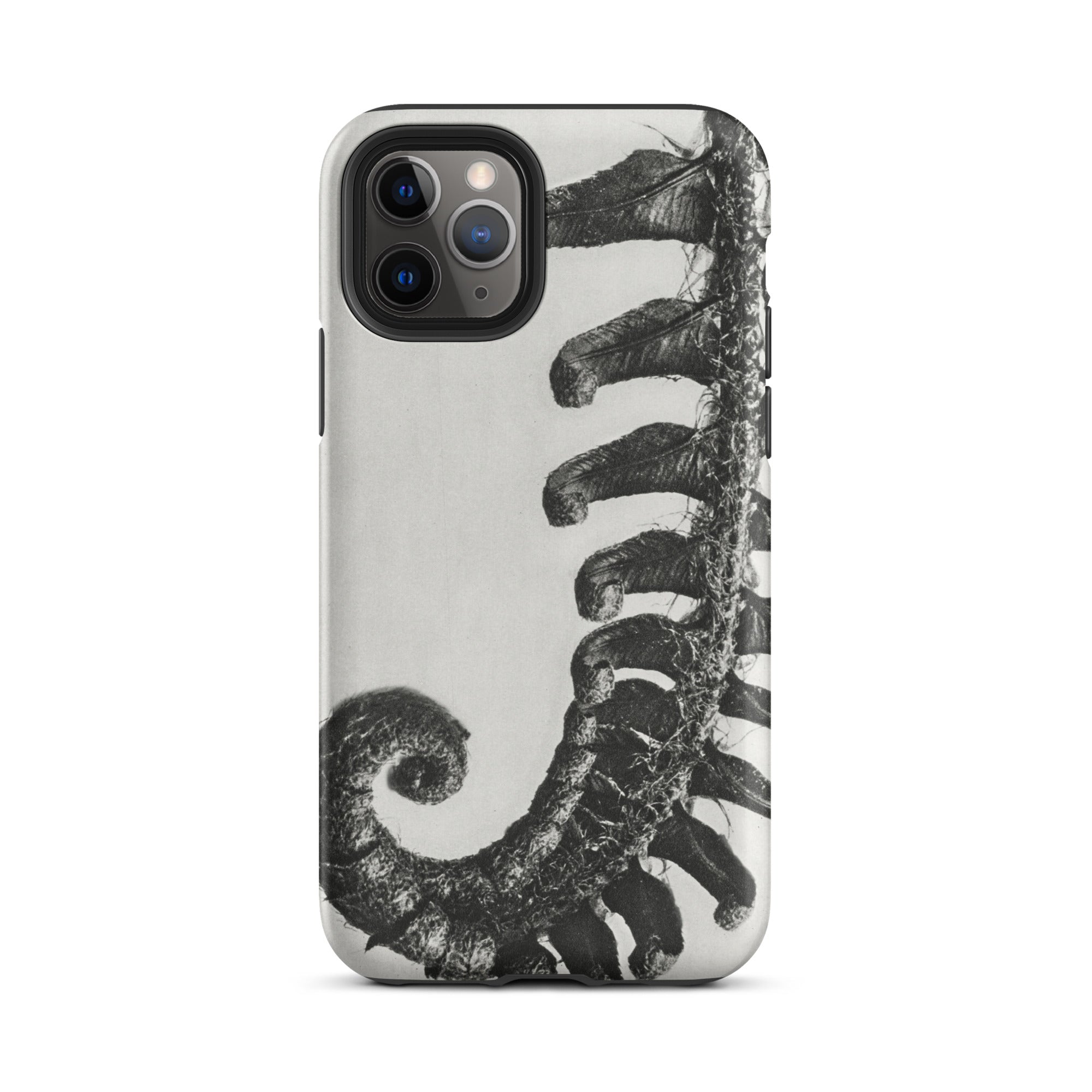 Polystichum Munitum (prickly Shield–fern) Karl Blossfeldt Iphone Case, 11 Pro / Matte, Fern Patterned Phone Case