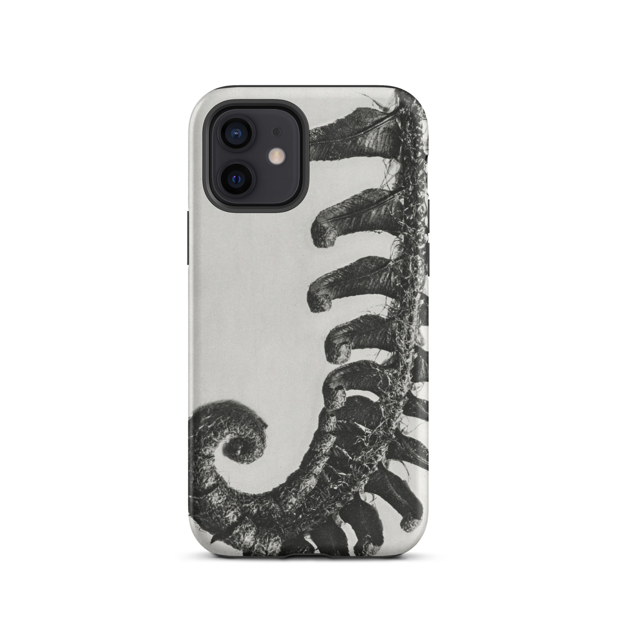 Polystichum Munitum (prickly Shield–fern) Karl Blossfeldt Iphone Case, 12 / Matte, Fern Patterned Phone Case