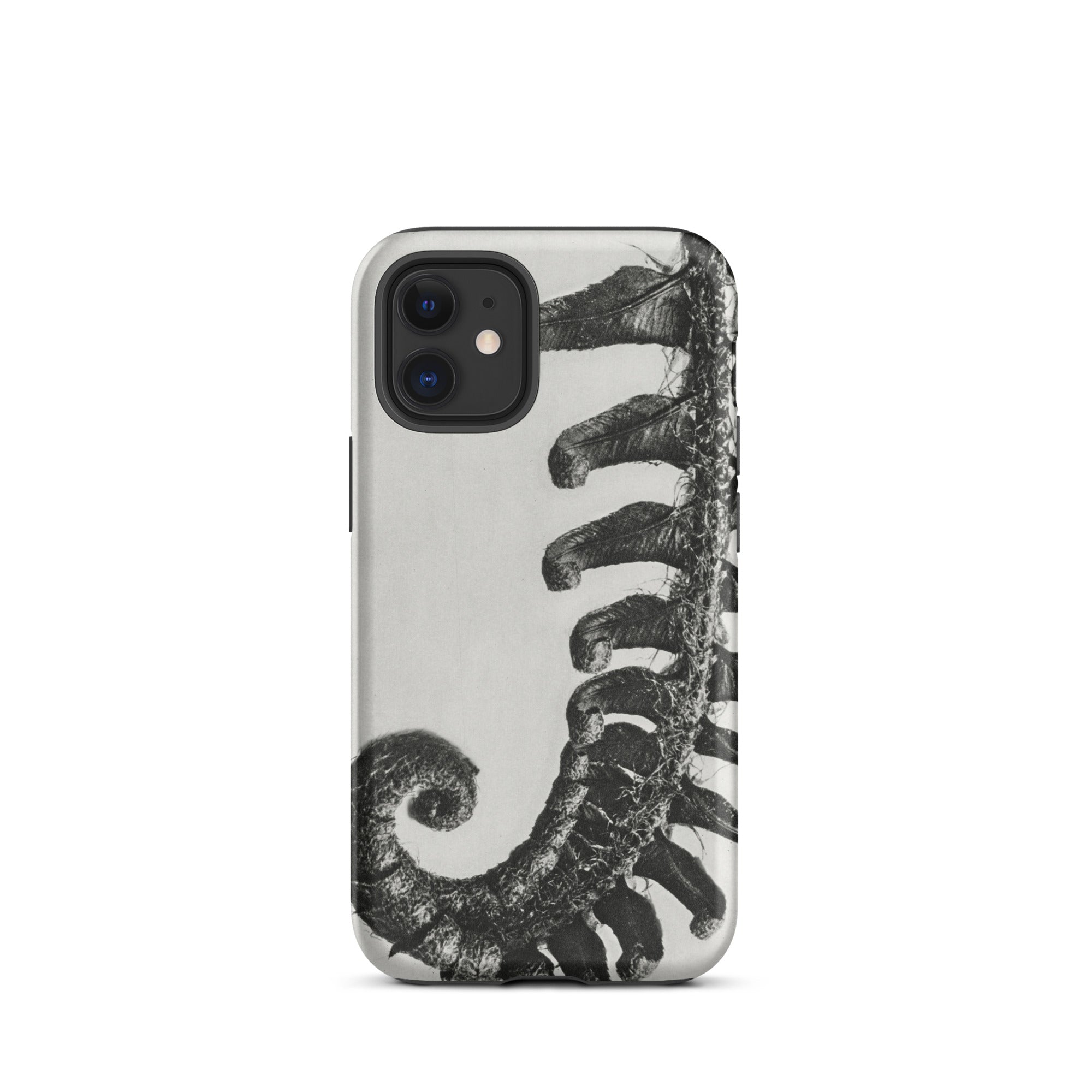 Polystichum Munitum (prickly Shield–fern) Karl Blossfeldt Iphone Case, 12 Mini / Matte, Fern Patterned Phone Case