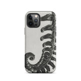 Polystichum Munitum (prickly Shield–fern) - Karl Blossfeldt Iphone Case, 12 Pro / Matte, Fern-patterned Phone Case