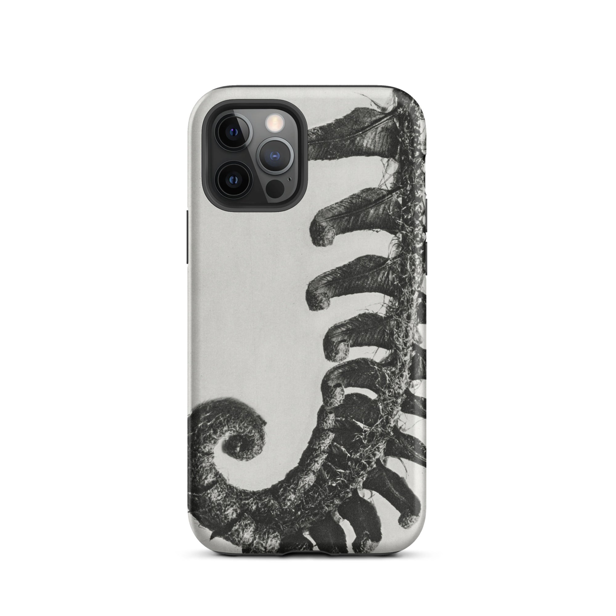 Polystichum Munitum (prickly Shield–fern) Karl Blossfeldt Iphone Case, 12 Pro / Matte, Fern Patterned Phone Case