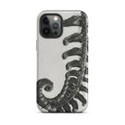 Polystichum Munitum (prickly Shield–fern) Karl Blossfeldt Iphone Case, 12 Pro Max / Matte, Fern Patterned Phone Case