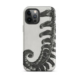 Polystichum Munitum (prickly Shield–fern) - Karl Blossfeldt Iphone Case, 12 Pro Max / Matte, Fern-patterned Phone Case