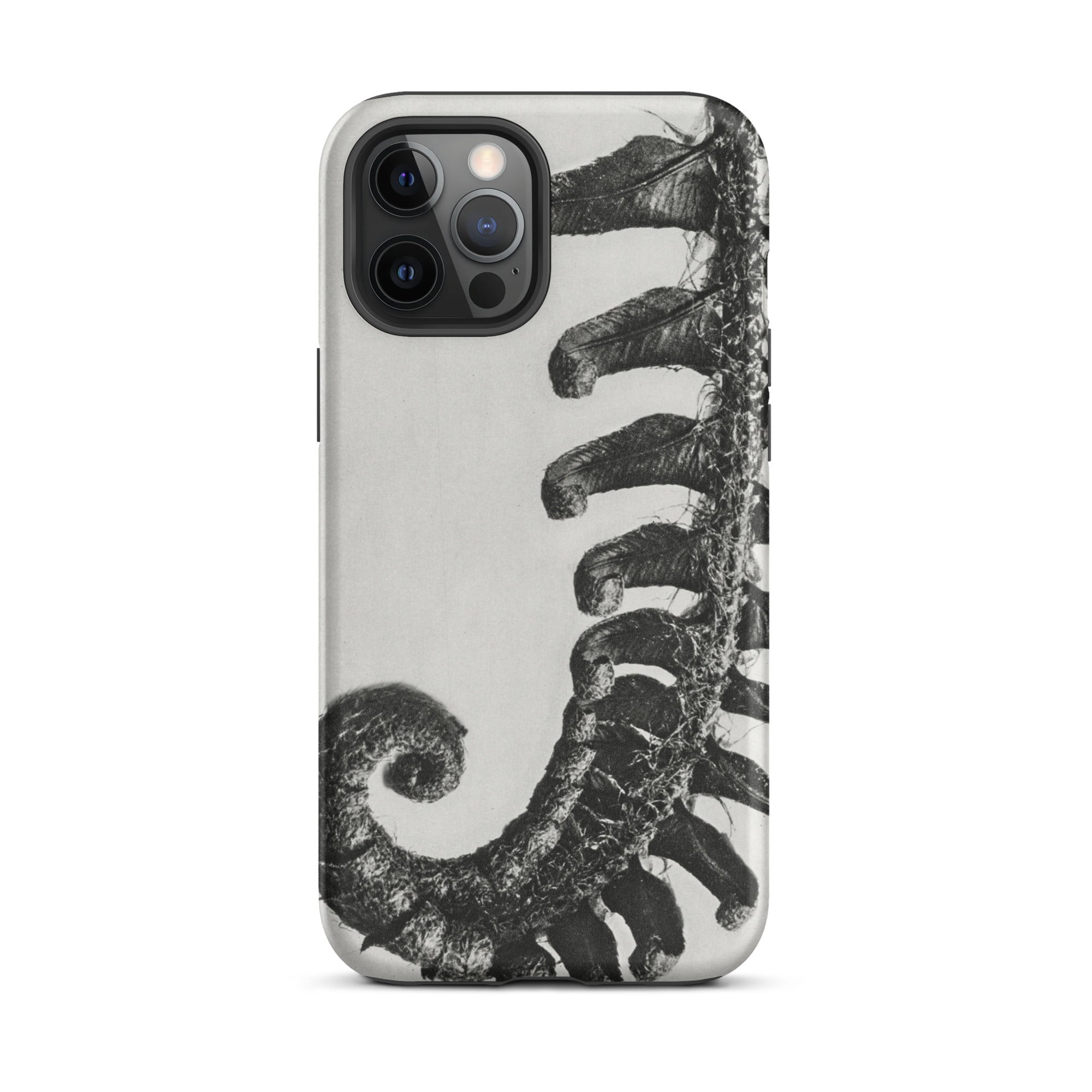 Polystichum Munitum (prickly Shield–fern) Karl Blossfeldt Iphone Case, 12 Pro Max / Matte, Fern Patterned Phone Case