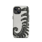 Polystichum Munitum (prickly Shield–fern) Karl Blossfeldt Iphone Case, 13 / Matte, Fern Patterned Phone Case