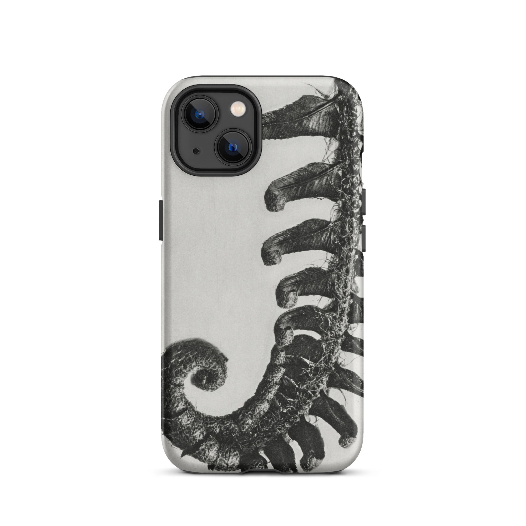 Polystichum Munitum (prickly Shield–fern) Karl Blossfeldt Iphone Case, 13 / Matte, Fern Patterned Phone Case