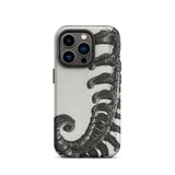 Polystichum Munitum (prickly Shield–fern) - Karl Blossfeldt Iphone Case, 14 Pro / Matte, Fern-patterned Phone Case