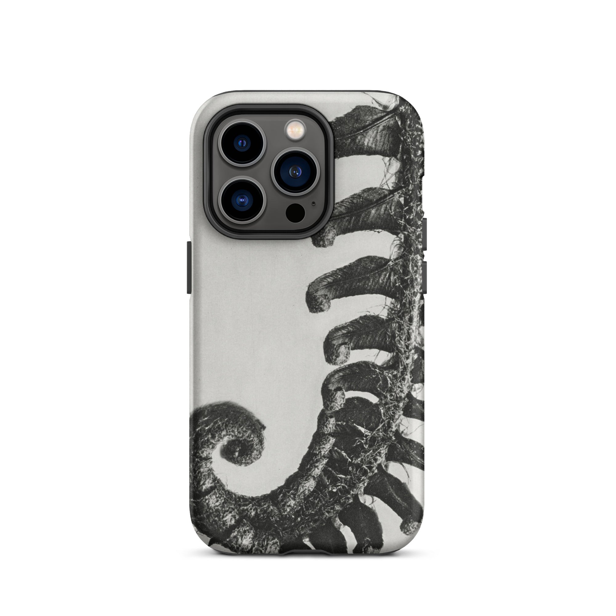 Polystichum Munitum (prickly Shield–fern) Karl Blossfeldt Iphone Case, 14 Pro / Matte, Fern Patterned Phone Case
