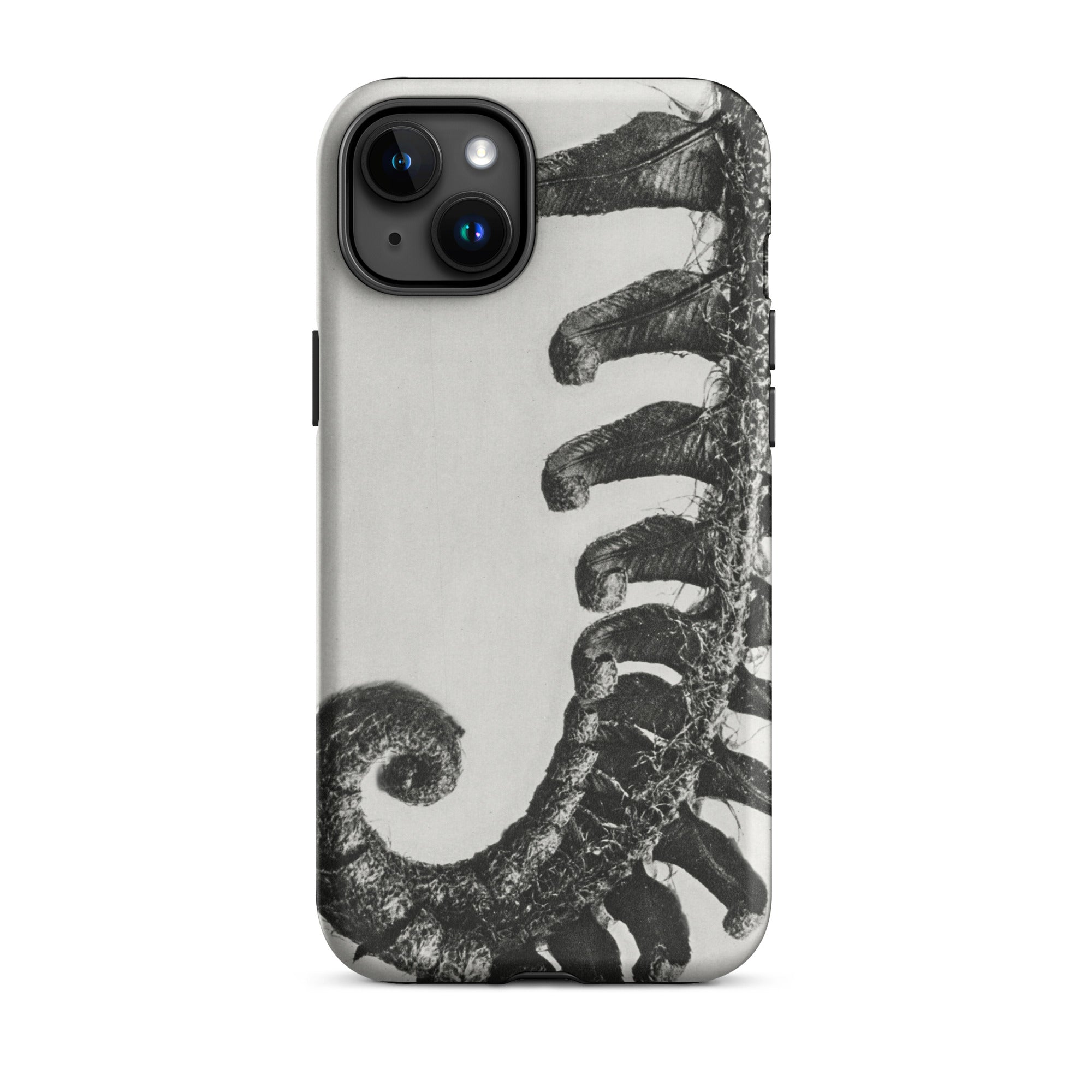 Polystichum Munitum (prickly Shield–fern) Karl Blossfeldt Iphone Case, 15 Plus / Matte, Fern Patterned Phone Case
