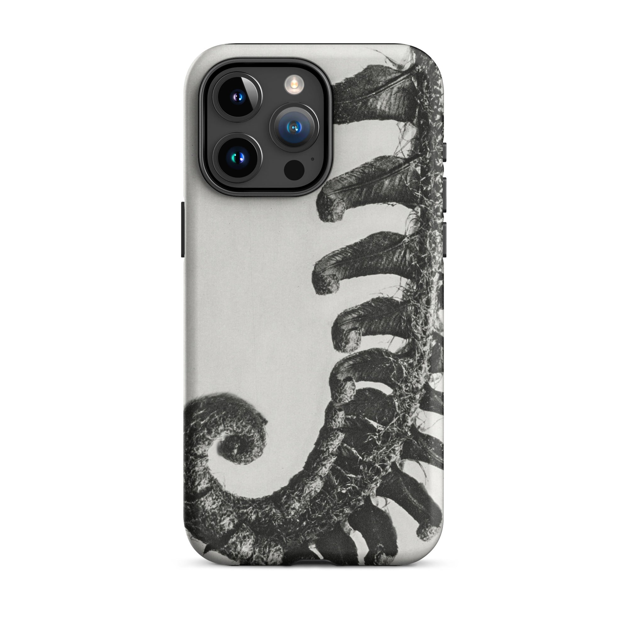 Polystichum Munitum (prickly Shield–fern) Karl Blossfeldt Iphone Case, 15 Pro Max / Matte, Fern Patterned Phone Case
