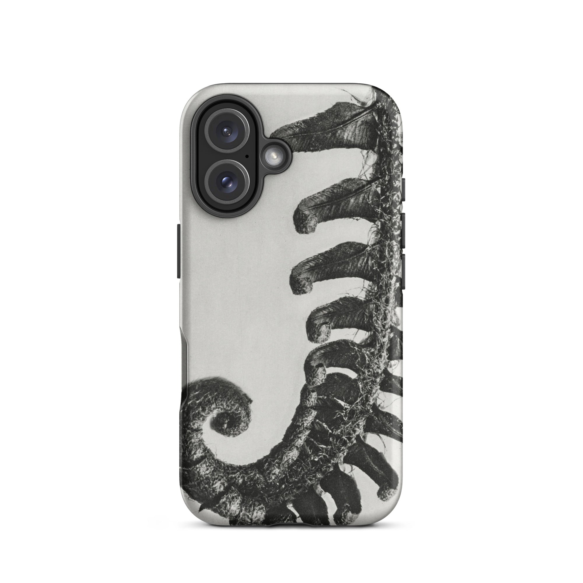 Polystichum Munitum (prickly Shield–fern) Karl Blossfeldt Iphone Case, 16 / Matte, Fern Patterned Phone Case