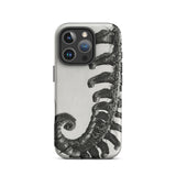 Polystichum Munitum (prickly Shield–fern) - Karl Blossfeldt Iphone Case, 16 Pro / Matte, Fern-patterned Phone Case