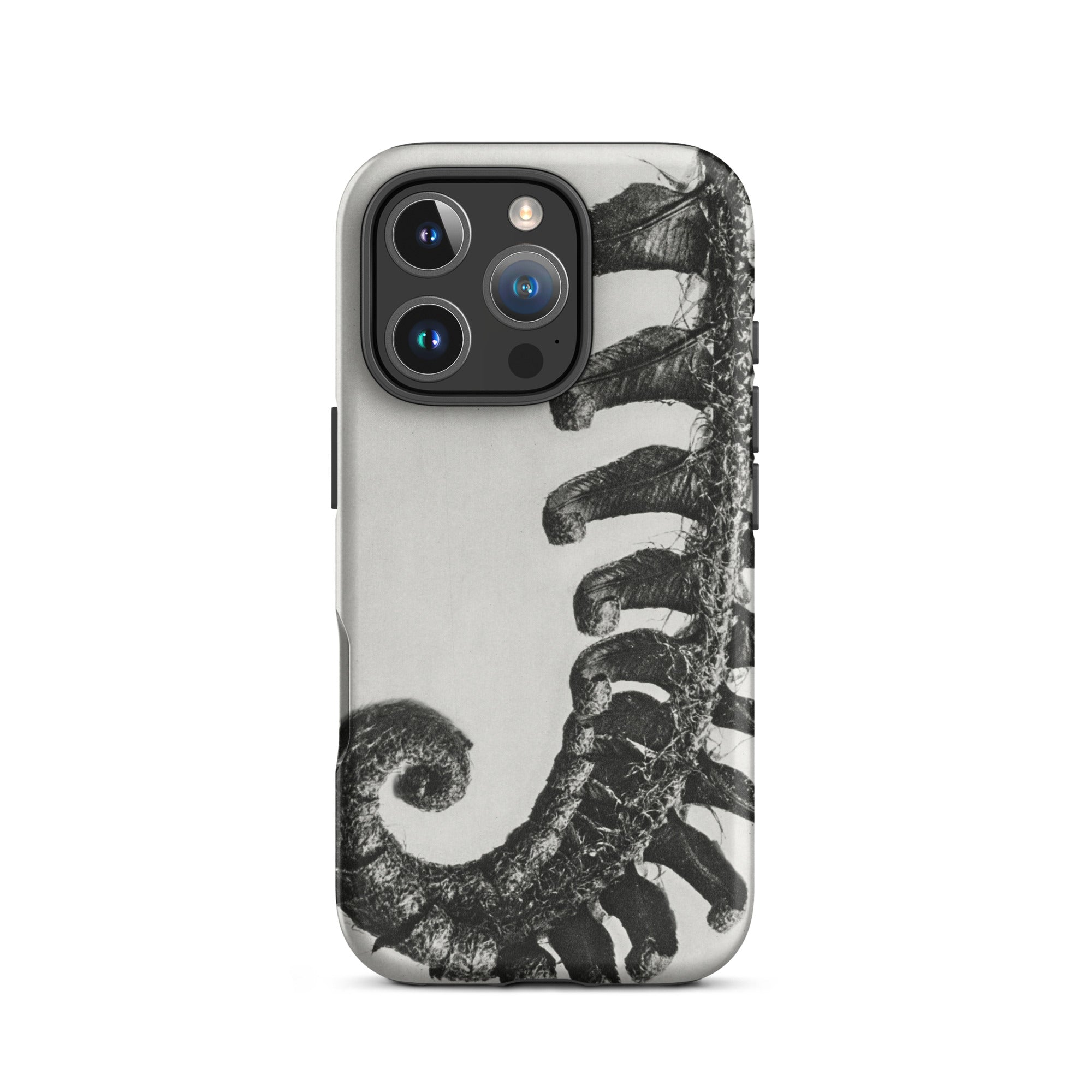 Polystichum Munitum (prickly Shield–fern) Karl Blossfeldt Iphone Case, 16 Pro / Matte, Fern Patterned Phone Case