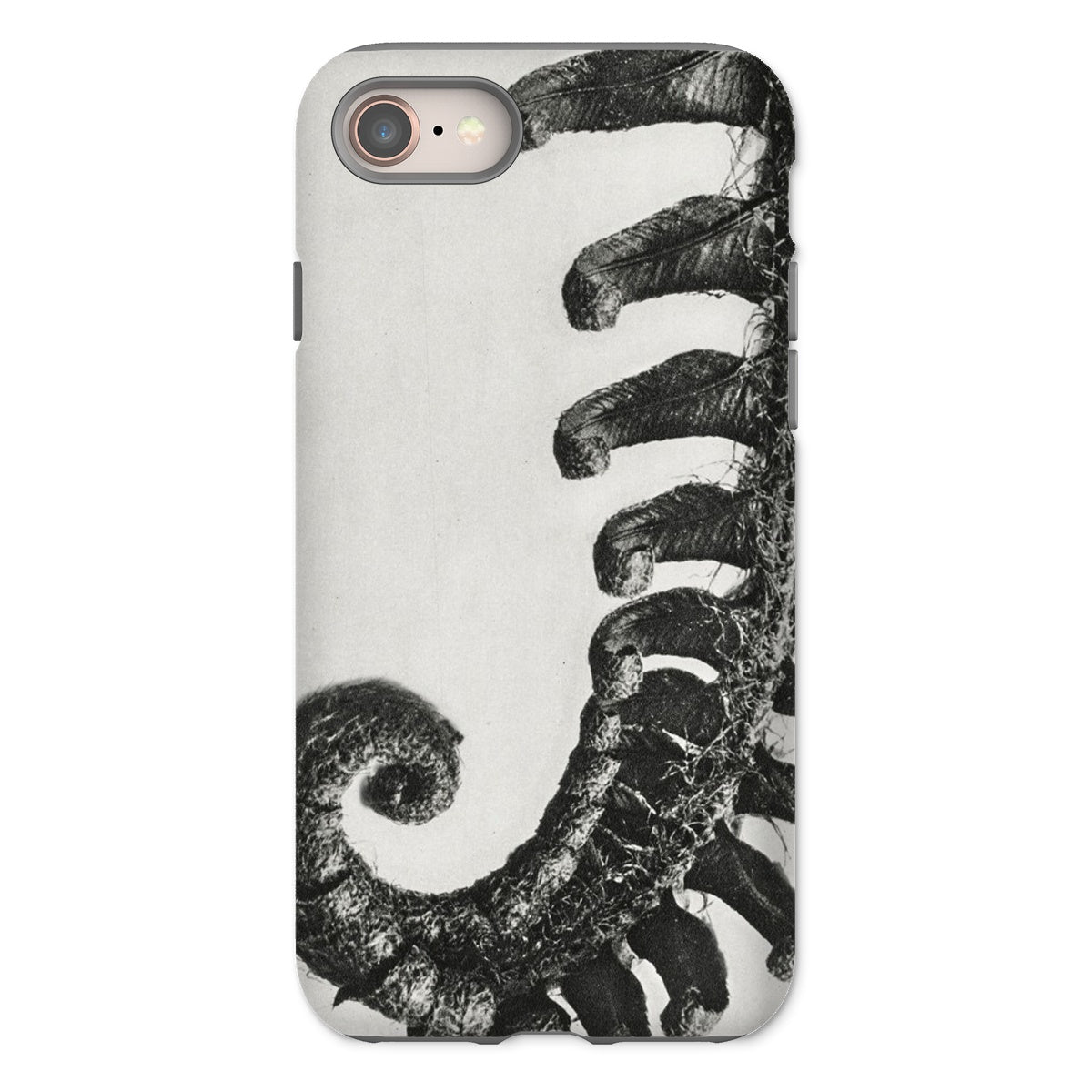 Polystichum Munitum (prickly Shield–fern) Karl Blossfeldt Iphone Case, 8 / Matte, Phone Case Black White Octopus Tentacle Design