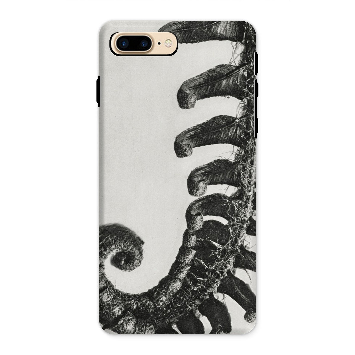 Polystichum Munitum (prickly Shield–fern) Karl Blossfeldt Iphone Case, 8 Plus / Matte, Phone Case Black White Image Curled Fern Frond