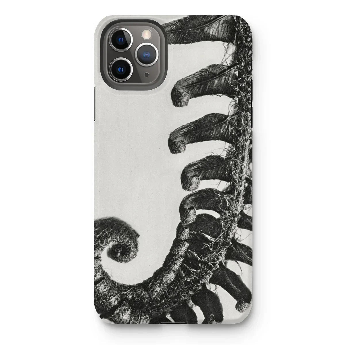 Polystichum Munitum (prickly Shield–fern) - Karl Blossfeldt Iphone Case - 11 Pro Max / Matte