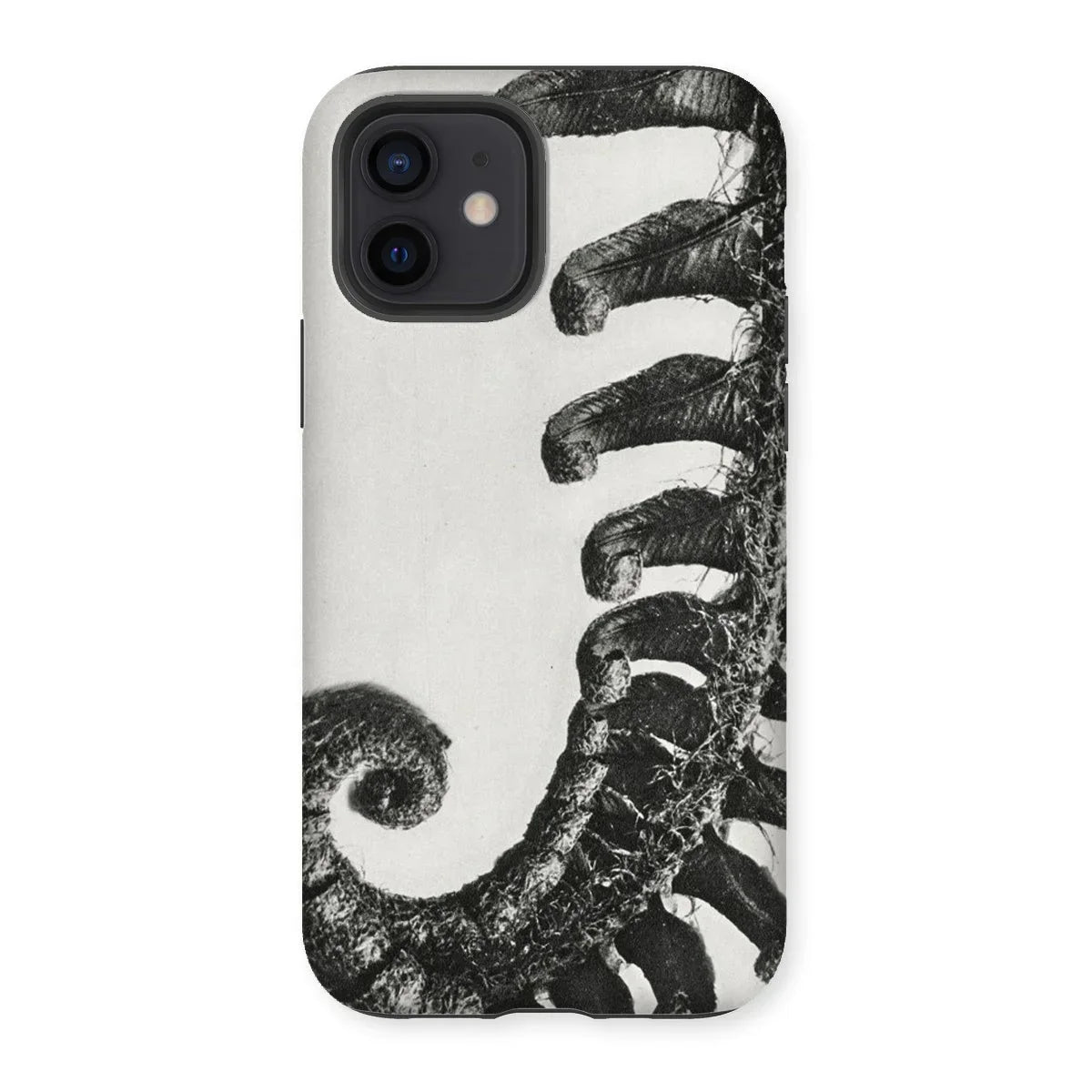 Polystichum Munitum (prickly Shield–fern) - Karl Blossfeldt Iphone Case - 12 / Matte