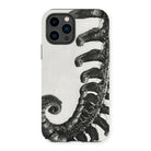 Polystichum Munitum (prickly Shield–fern) - Karl Blossfeldt Iphone Case - 14 Pro / Matte