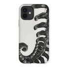 Polystichum Munitum (prickly Shield–fern) - Karl Blossfeldt Iphone Case 12 / Matte Mobile Phone Cases